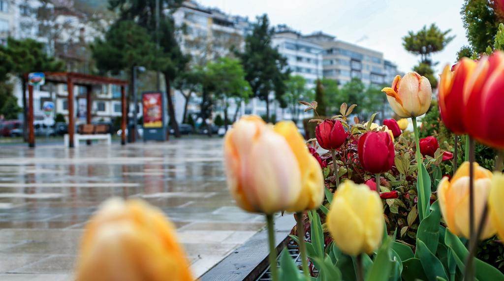 ORDU’NUN GÜZELLİĞİNE GÜZELLİK KATAN ÇALIŞMA   